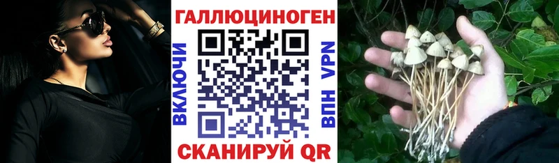 Псилоцибиновые грибы Psilocybine cubensis  хочу наркоту  Катайск 
